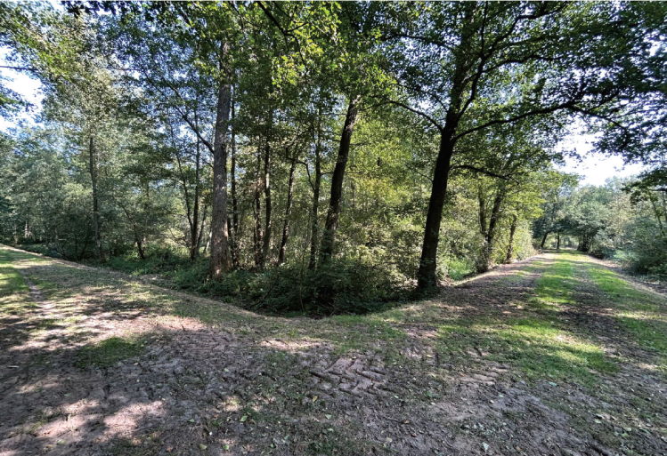 View of the corner of a former pool with one of the larger dikes, capable of accommodating a horse drawn cart