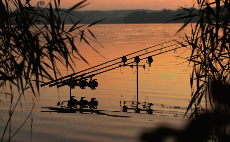 Piscator - GARETH FAREHAM