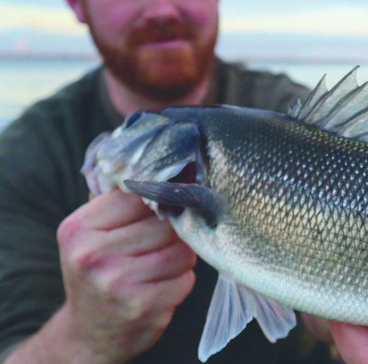 RAFE GABRIEL - The Moon Also Rises