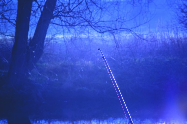 Richard Naylor Fishing on the Bank