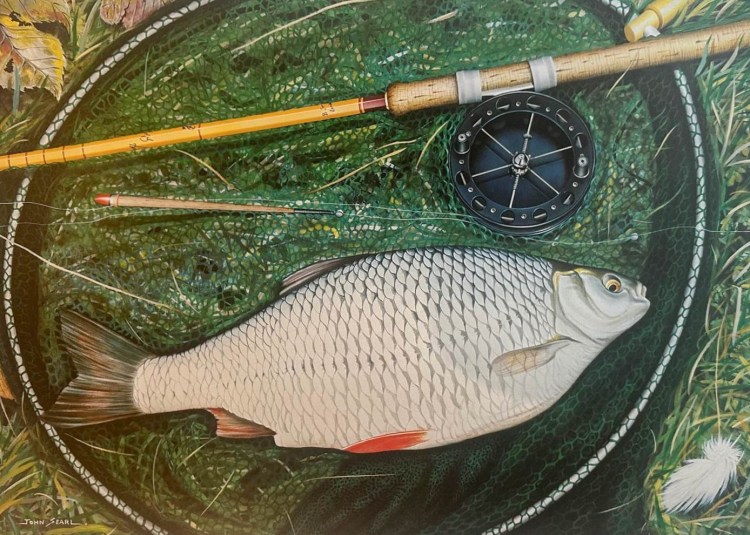 'Avon Roach' Print by John Searl