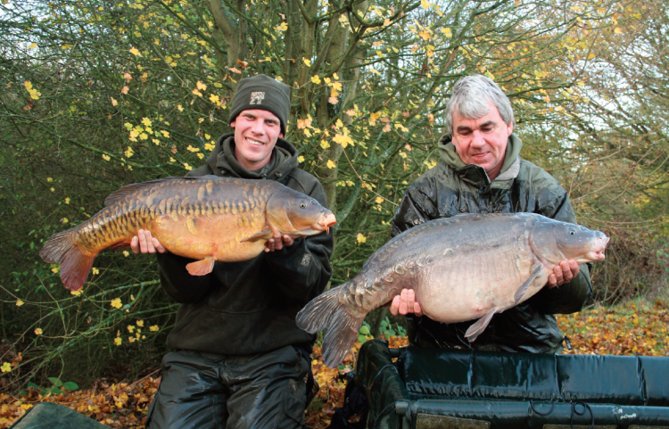 Long trots with bread on the surface