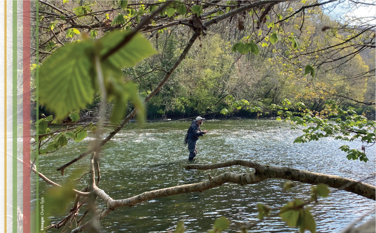 Piscator article: PETE TYJAS