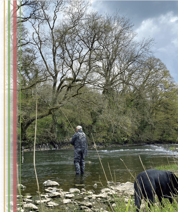 Piscator article: PETE TYJAS